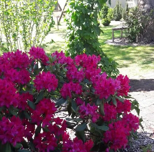 Spreewald-ferienwohnung Jahn