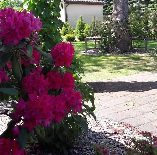 Spreewald-ferienwohnung Jahn Lägenhet