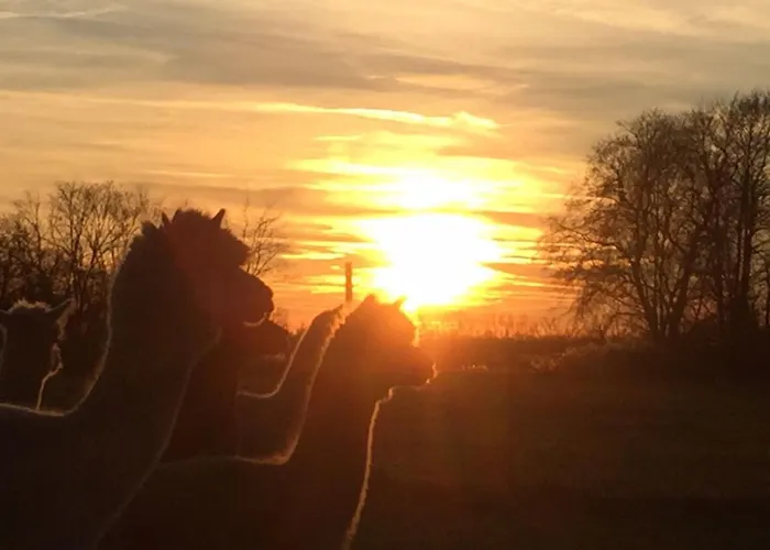 Lägenhet Spreewald-ferienwohnung Jahn Radensdorf
