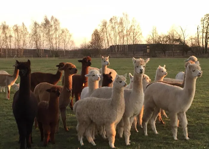 Spreewald-ferienwohnung Jahn Lägenhet Radensdorf