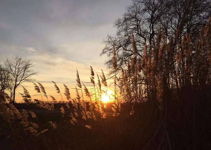 Spreewald-ferienwohnung Jahn Lägenhet *