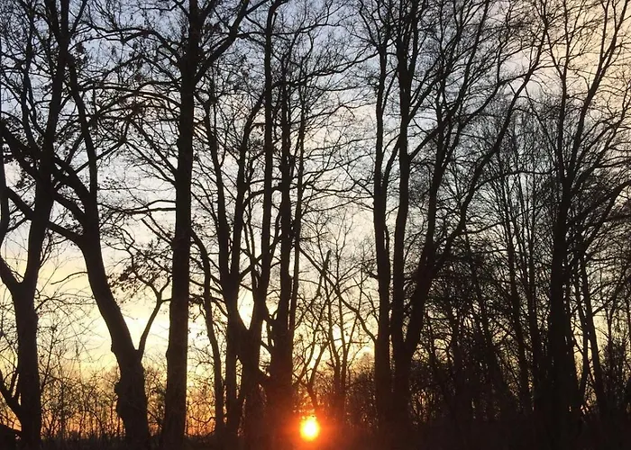 Lägenhet Spreewald-ferienwohnung Jahn Radensdorf